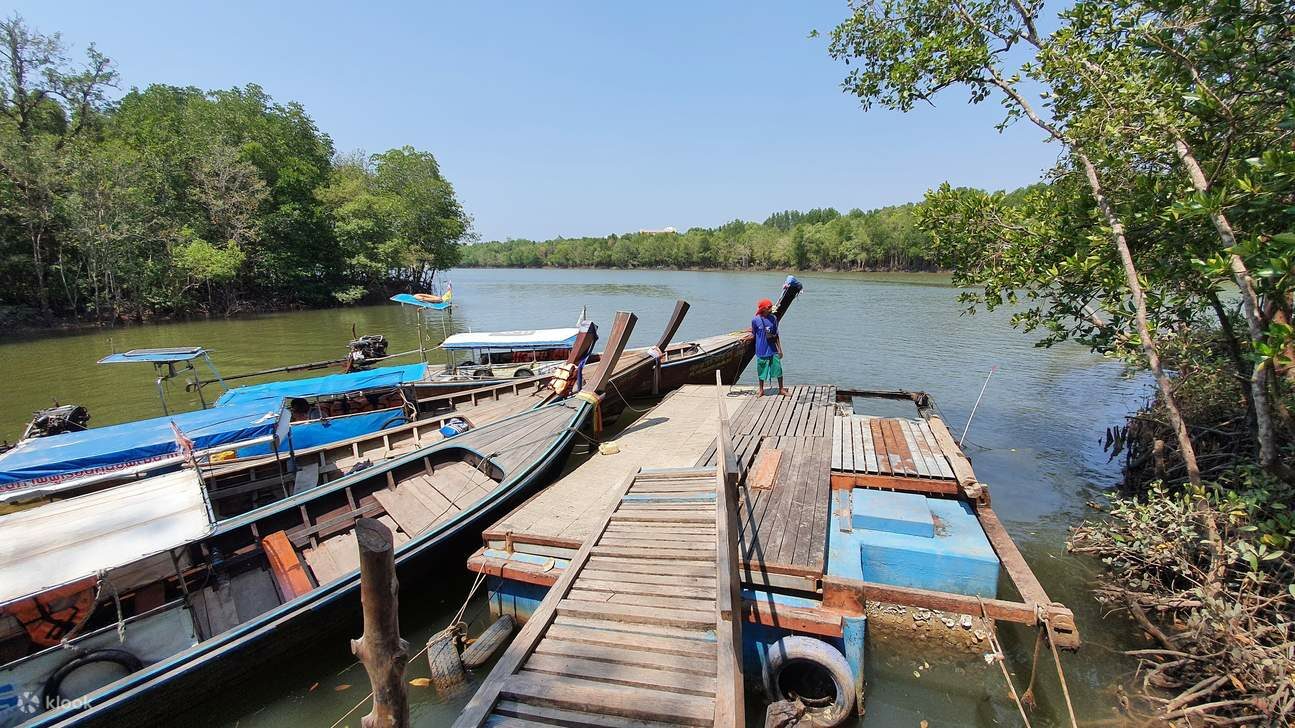 Taking a boat tour through the mangroves is a beautiful way to explore Thailand's islands, offering a unique travel experience.